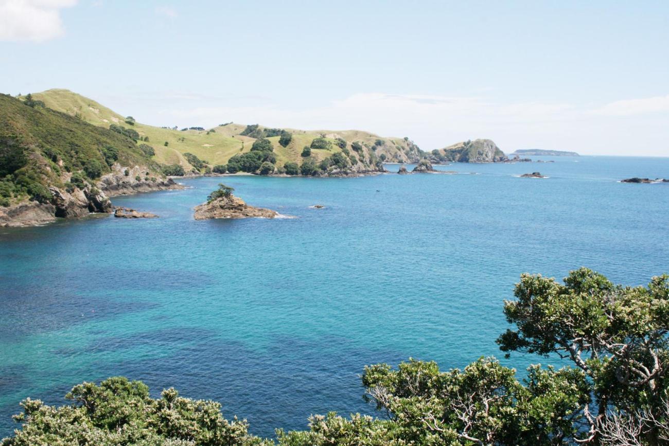 Appartement Perfect Base In The Bay Of Islands à Opua Extérieur photo